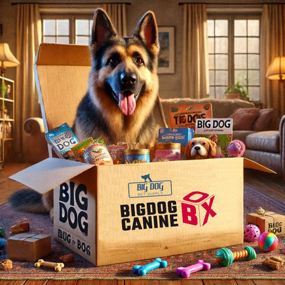 Big Dog Canine Box for Large Dogs – New Surprise of Premium Treats & Toys Every Time You Order