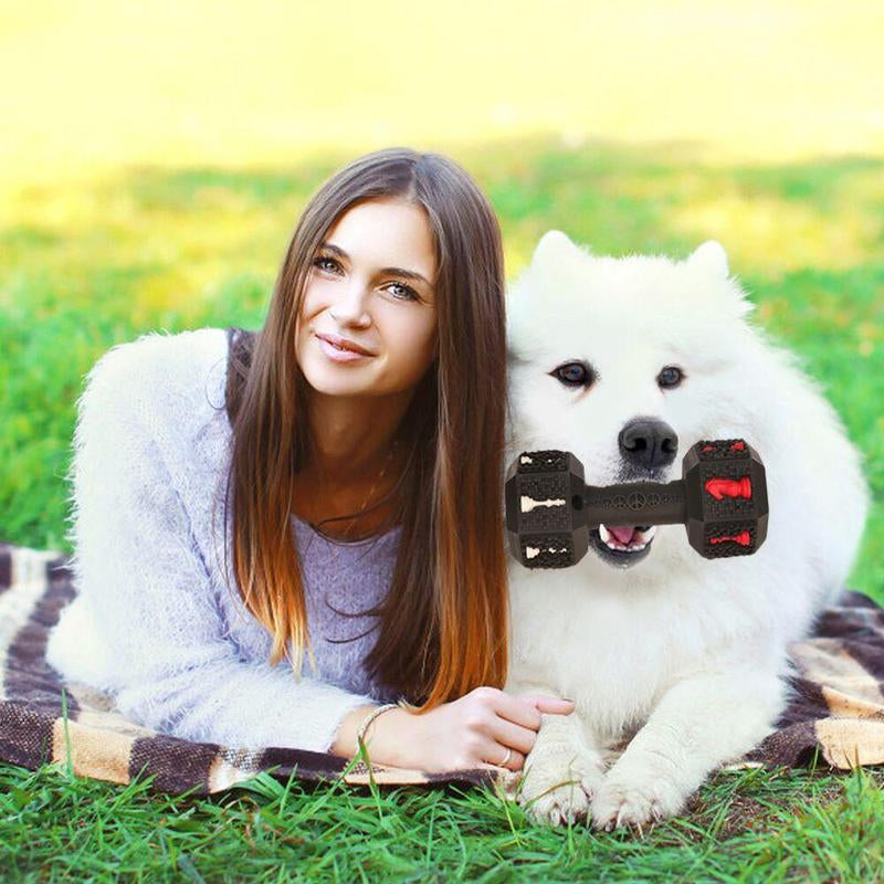 Dog Dumbbell Shape Chew Toy, Cute Dumbbell Design Dog Chew Toy, Interactive Dog Toy for Training & Playing, Valentine'S Day Gift