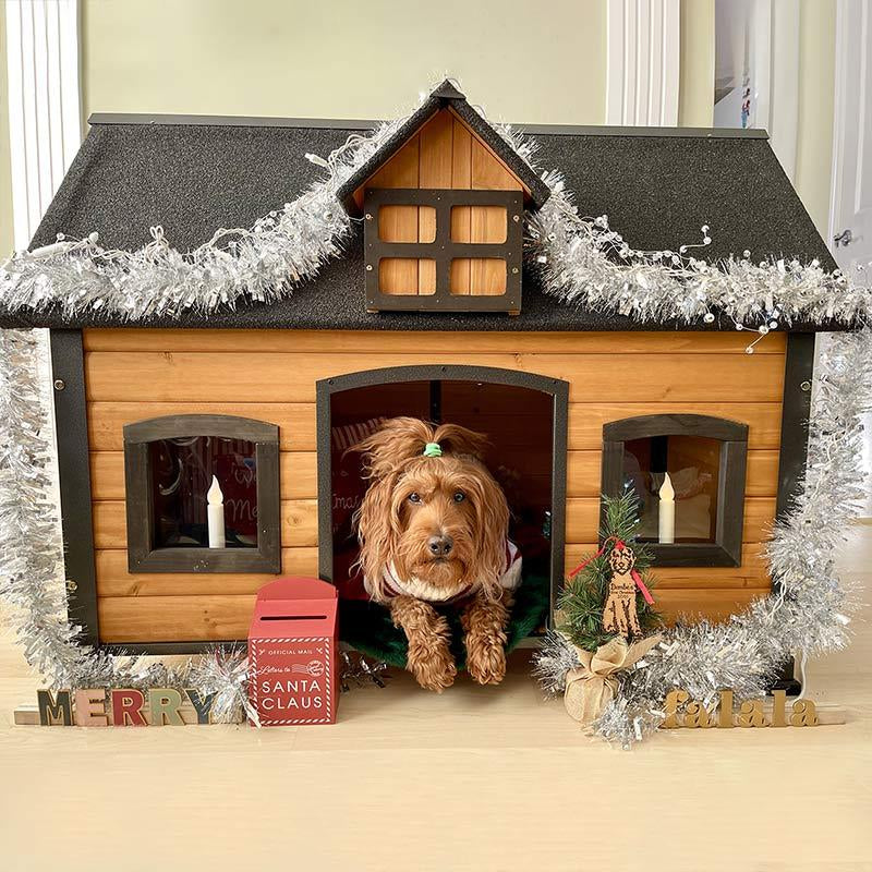 Aivituvin-Air90 Premium Wooden Dog House | Iron Frame and Asphalt Roof