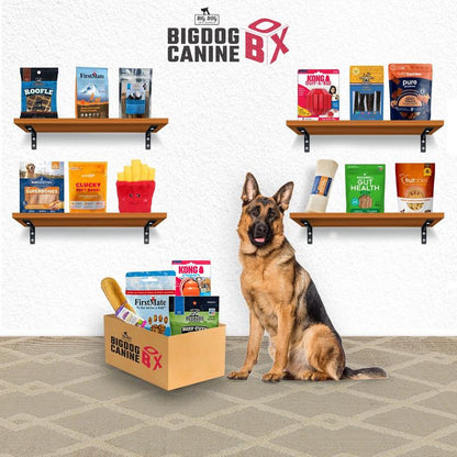 Big Dog Canine Box for Large Dogs – New Surprise of Premium Treats & Toys Every Time You Order