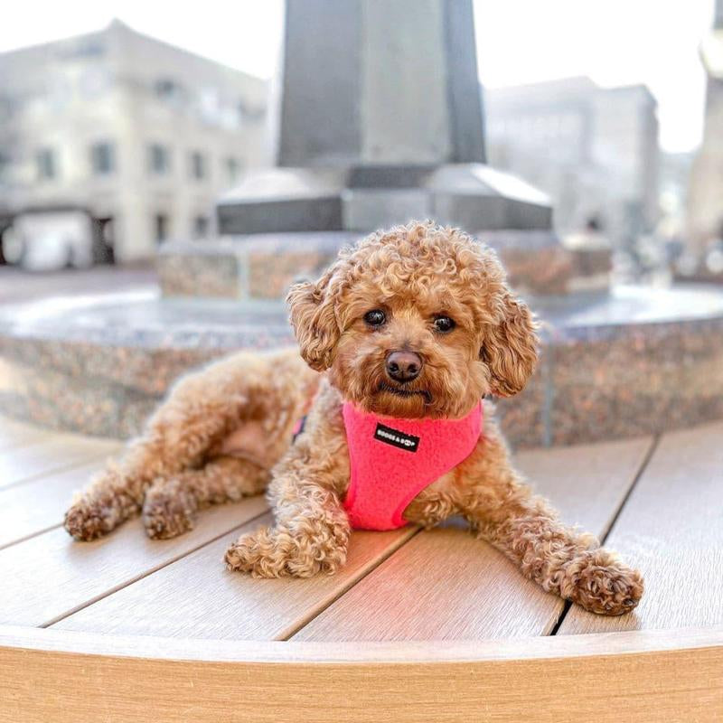 Adjustable Teddy Fabric Dog Harness - Fluorescent Pink