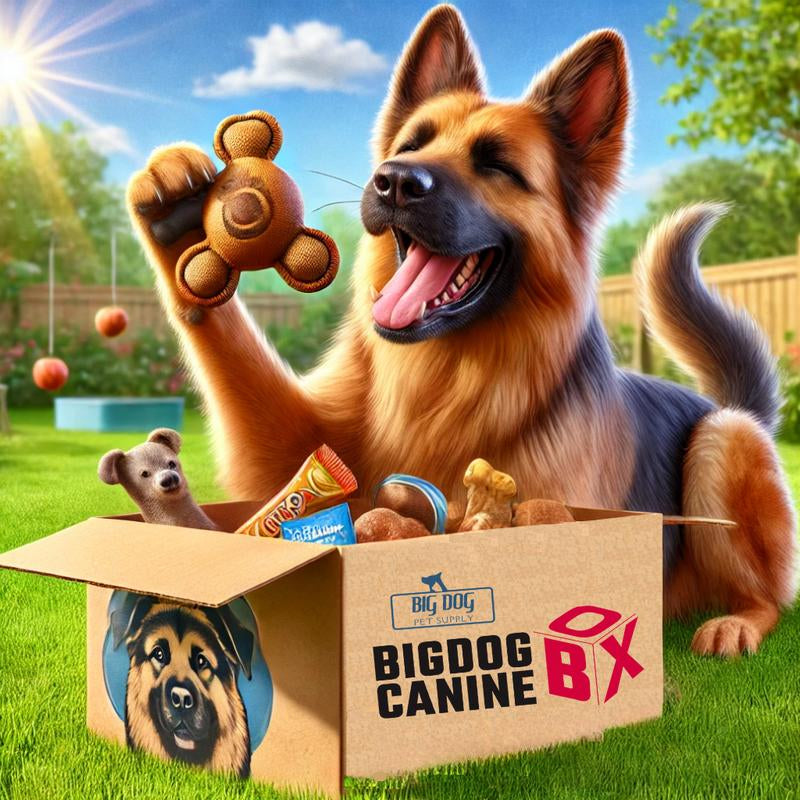 Big Dog Canine Box for Large Dogs – New Surprise of Premium Treats & Toys Every Time You Order
