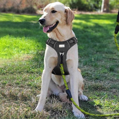 Adjustable No-Pull Dog Harness for Large Dogs 2 Leash Clips Reflective,No-Choke Pet Oxford Soft Padded Vest Comfortable,Breathable Mesh,Easy Control Handle for Easy Walking and Training,Xl