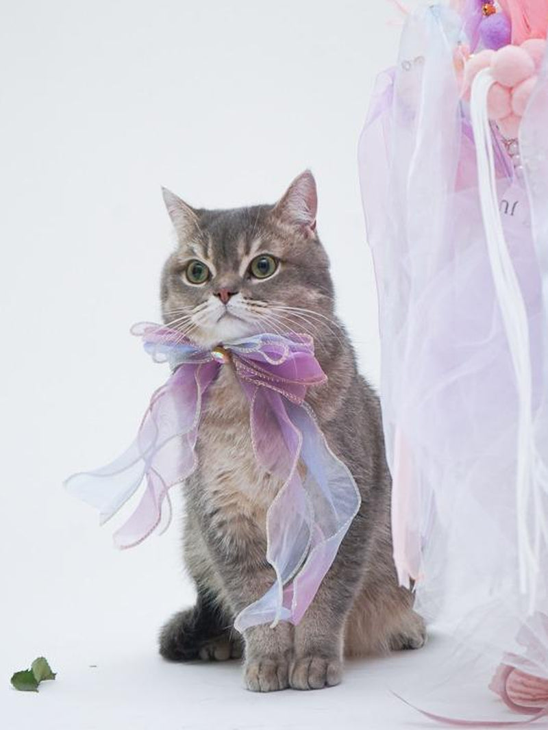 Universal Collar for All Cat Breeds and Dog with Butterfly Bowtie and Shiny Gem by Purrypurry