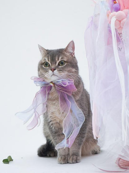 Universal Collar for All Cat Breeds and Dog with Butterfly Bowtie and Shiny Gem by Purrypurry