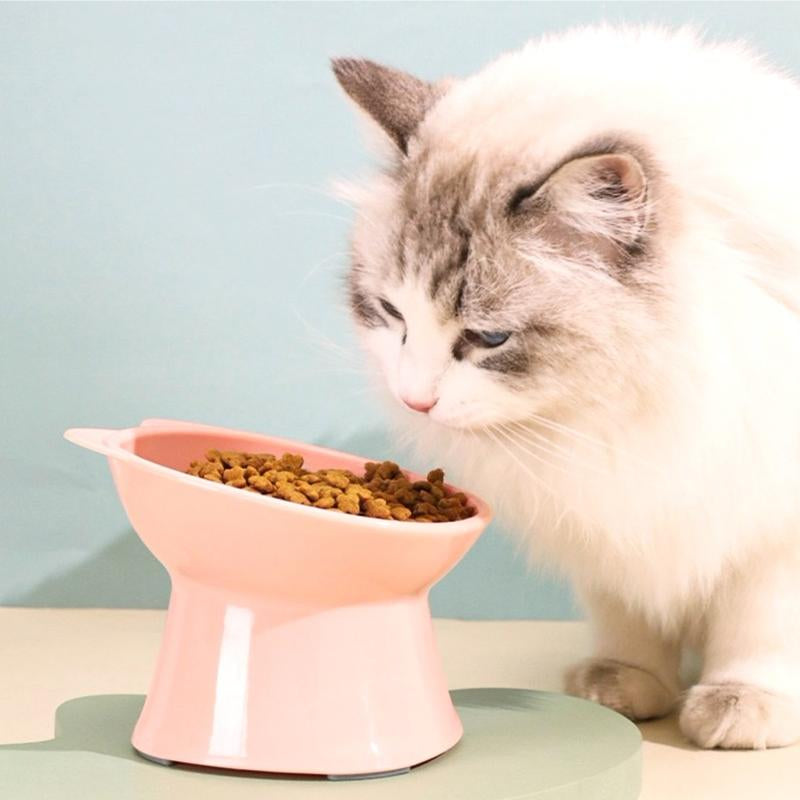 Pet Elevated Bowl, Dog and Cat Plates, 15° Tilted Elevated Bowl, Pet Water or Food Bowl for Small or Medium Size Dogs Cats