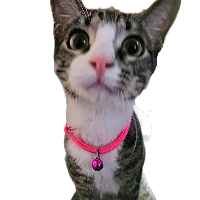 Pink Cat Collar for Pet Fashion Accessories - Neck Accessory for Cats Adjustable