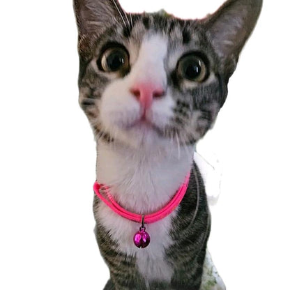 Pink Cat Collar for Pet Fashion Accessories - Neck Accessory for Cats Adjustable