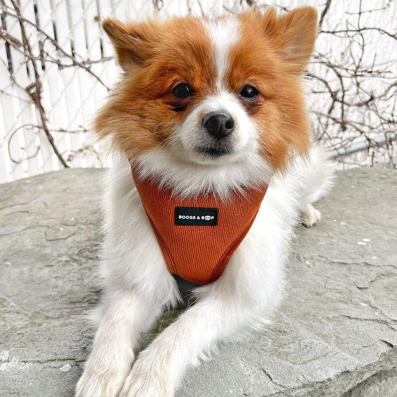 Adjustable Corduroy Dog Harness - Rust