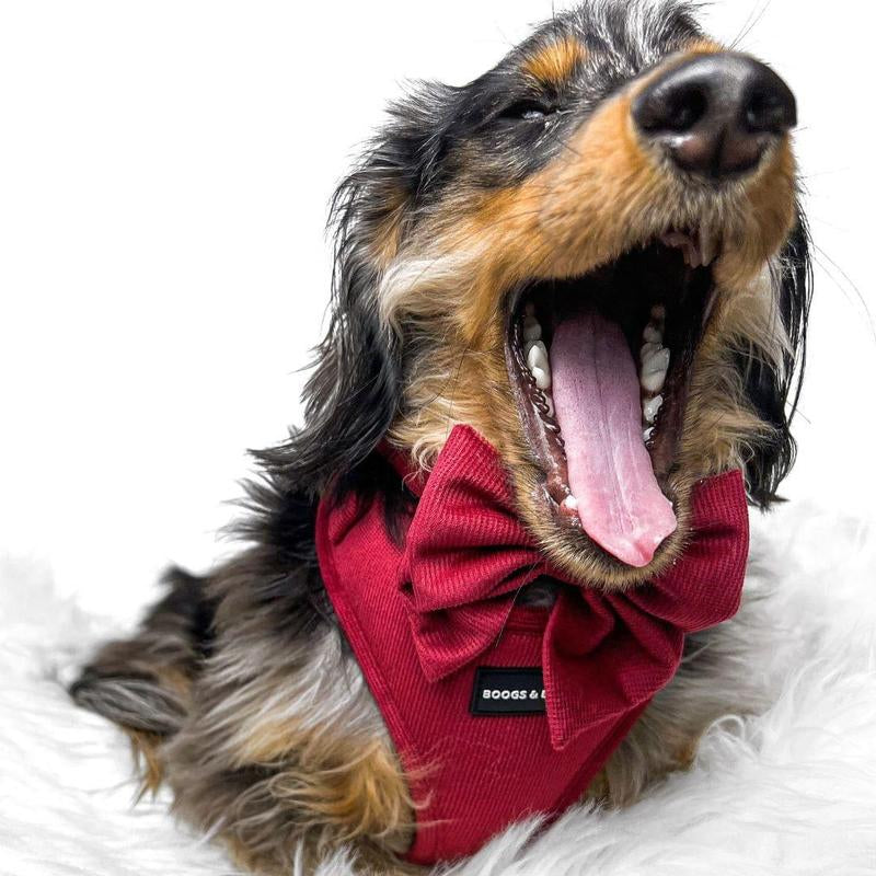 Adjustable Corduroy Dog Harness - Berry