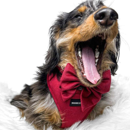 Adjustable Corduroy Dog Harness - Berry