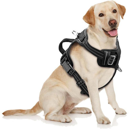 Adjustable No-Pull Dog Harness for Large Dogs 2 Leash Clips Reflective,No-Choke Pet Oxford Soft Padded Vest Comfortable,Breathable Mesh,Easy Control Handle for Easy Walking and Training,Xl