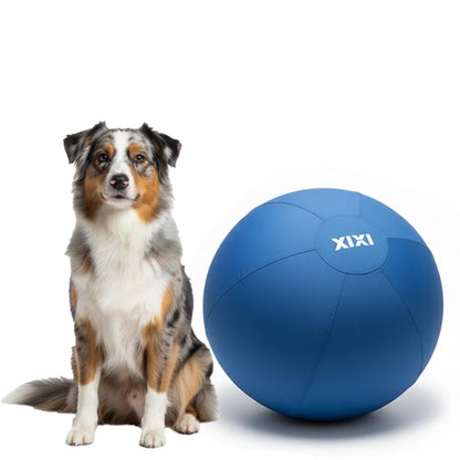 XIXI Large Herding Ball for Dogs 25" Diameter Interactive Toy for Australian Shepherds & Border Collies Durable Chew Toy for Outdoor Training & Play